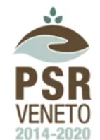 Psr veneto